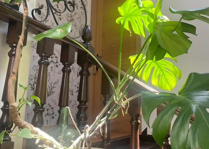 Rural Monterey شقة